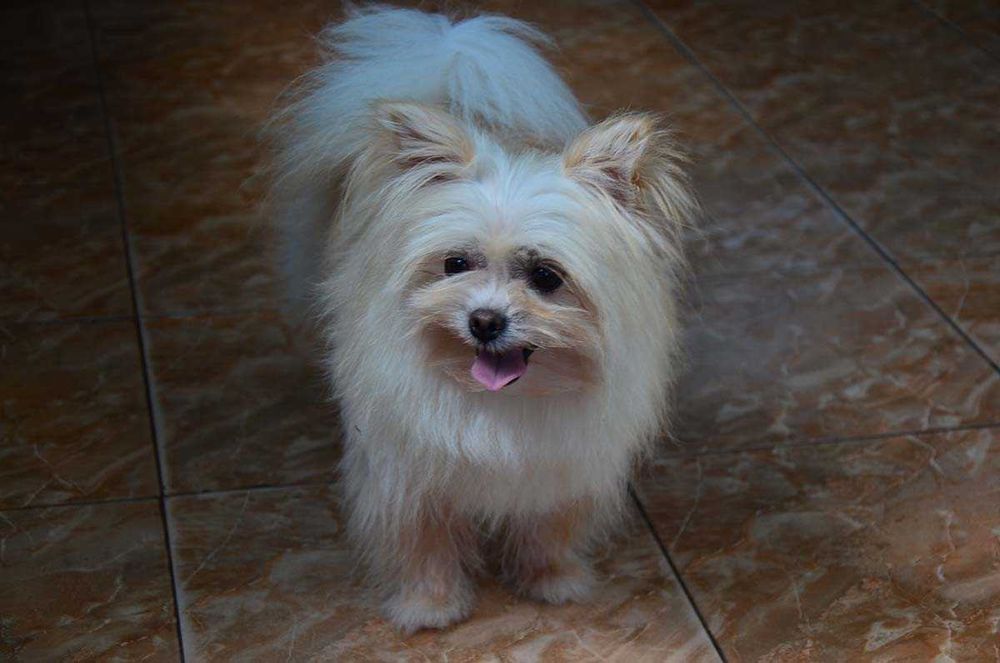 Гарна дівчинка 5 років.