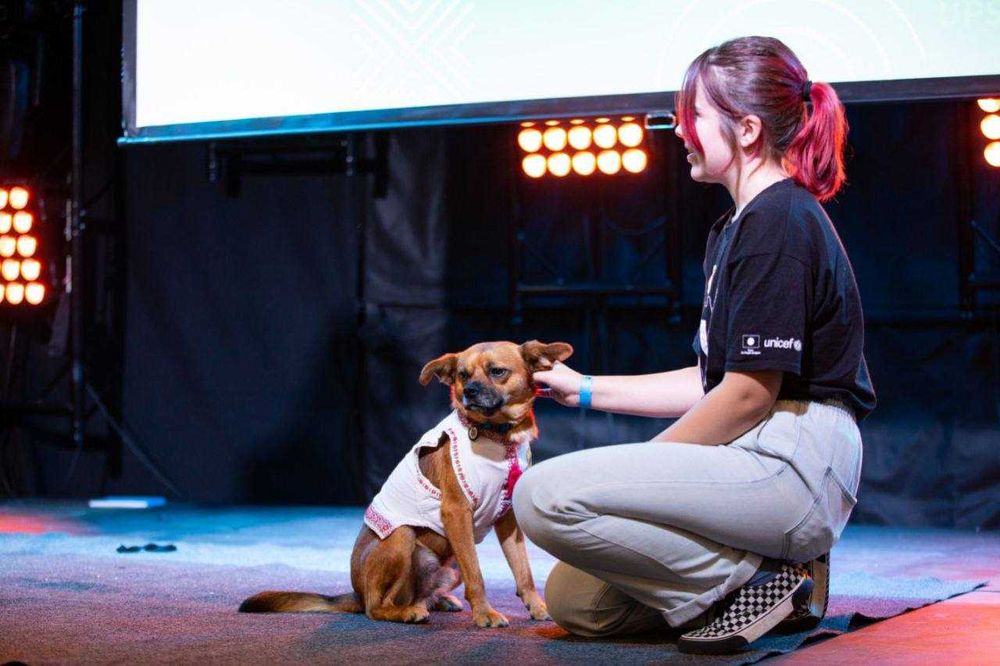 Кінолог, зоопсихолог, дресирування собак, вигул, перетримка