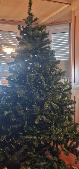 Arvore de Natal Real