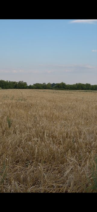 Продаж енергонезалежного будинку зі зручностями — смт Лосинівка