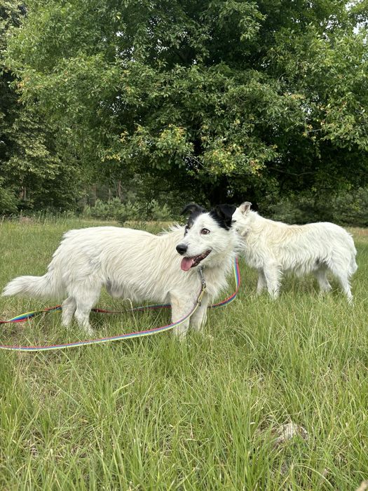 Gero wypatruje kochającej rodzinki