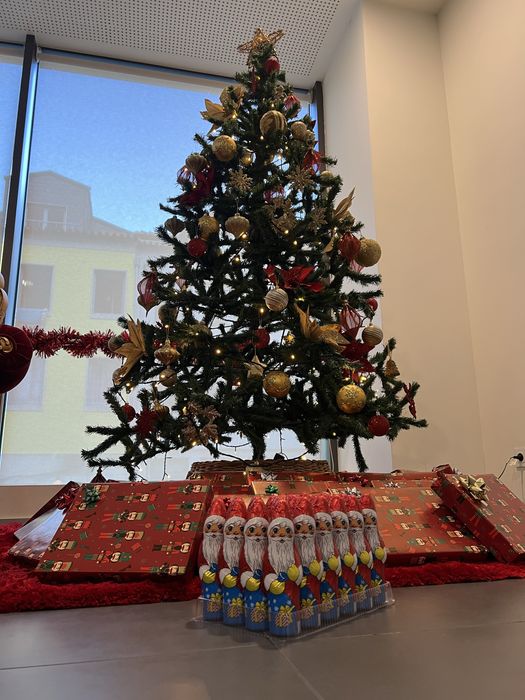 Pinheiro de Natal 2,00metros