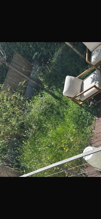 Limpeza e manutenção de jardins, piscinas e terrenos - melhor preço e qualidade