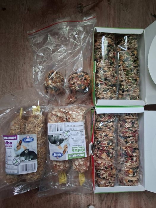 Świnki morskie (kawie)