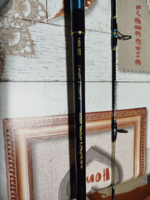 Cana de pesca ao barco