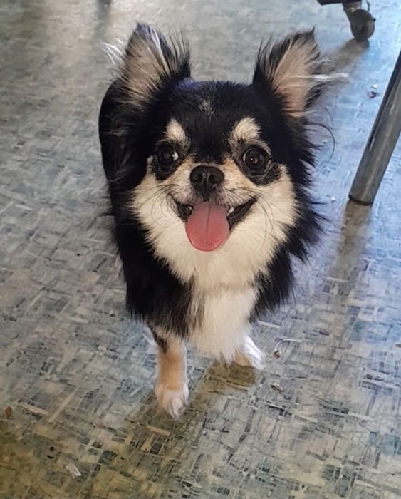 Вязка мини мальчик