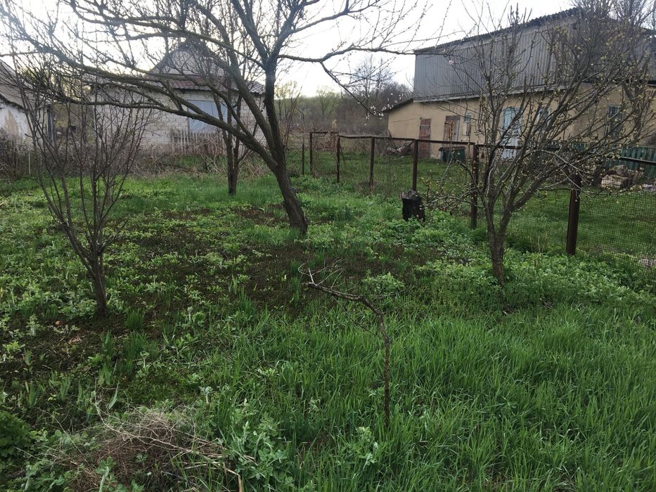 Продаж дачної ділянки під дачу або забудову