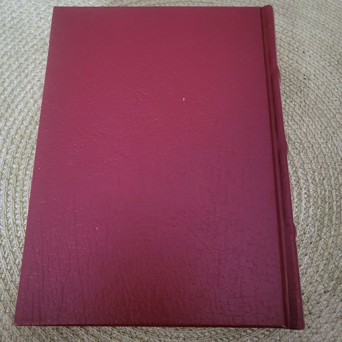 Aleksander Puszkin, Eugeniusz Oniegin. Jak nowa