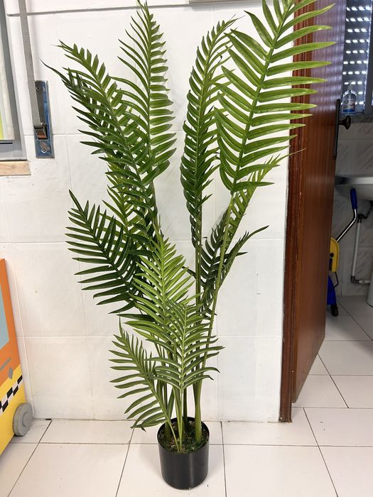 Lote plantas IKEA