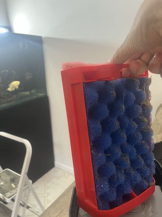 Fluval 307 Praticamente novo!