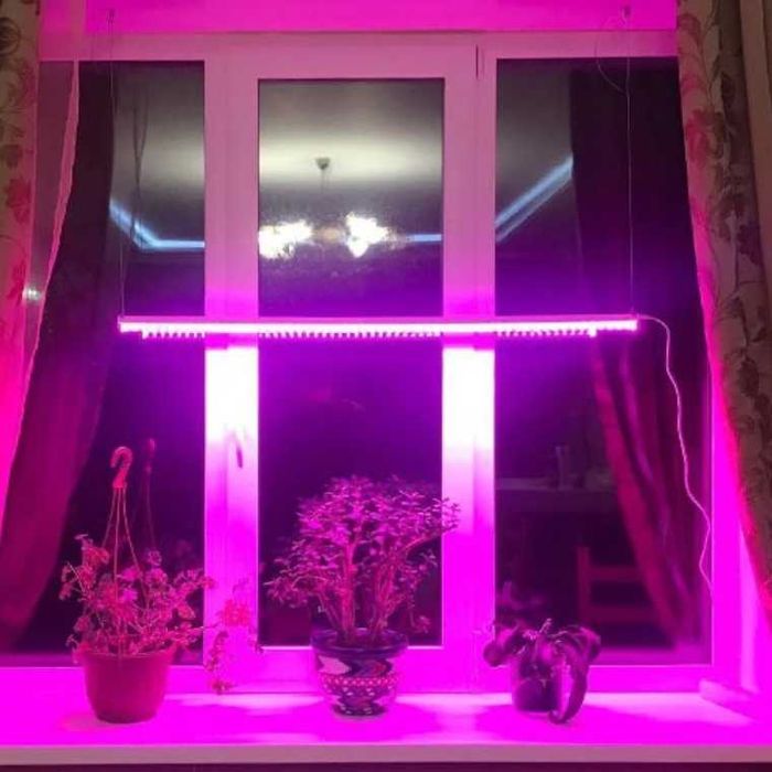 Фитолампа бесплатные крепления фитолампа для всех видов растений