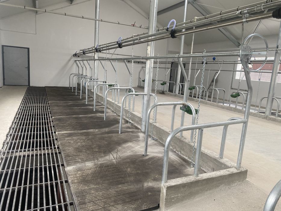 Ruszt ruszta kraty dla bydła wygrodzenia stanowiska maty