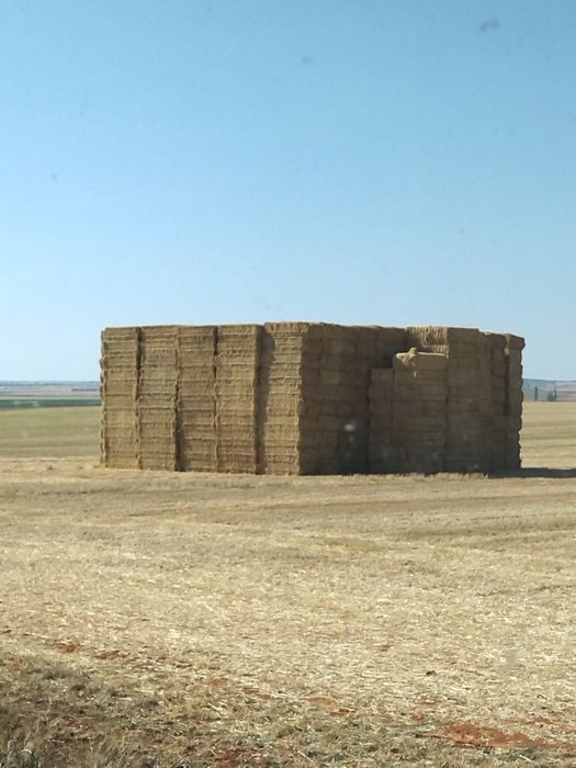 Fardos de Palha triga e aveia