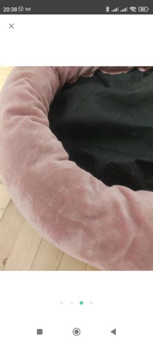 Место для собачки красивое