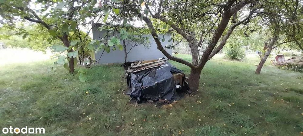 działka i murowany domek woda prąd szambo ROD Sawanna Ochla 500 m² - Widok 4