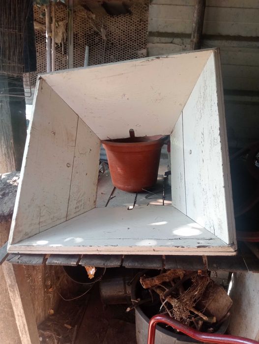 Relador de uvas como nova