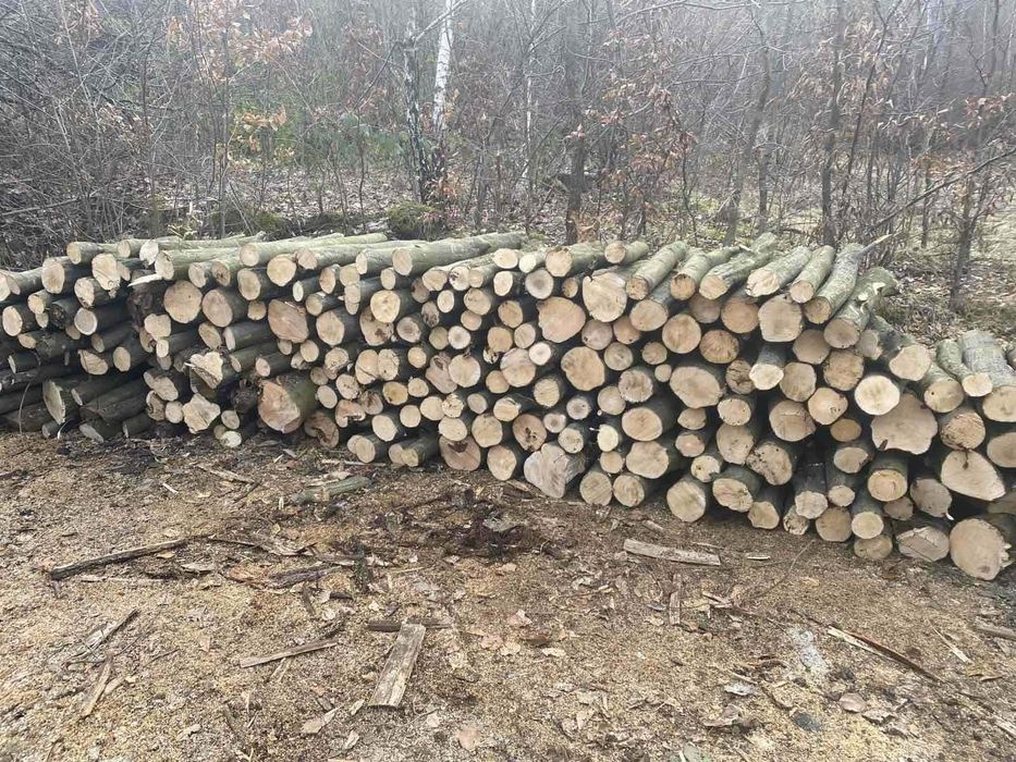 Продам дрова твеодих порід  ..