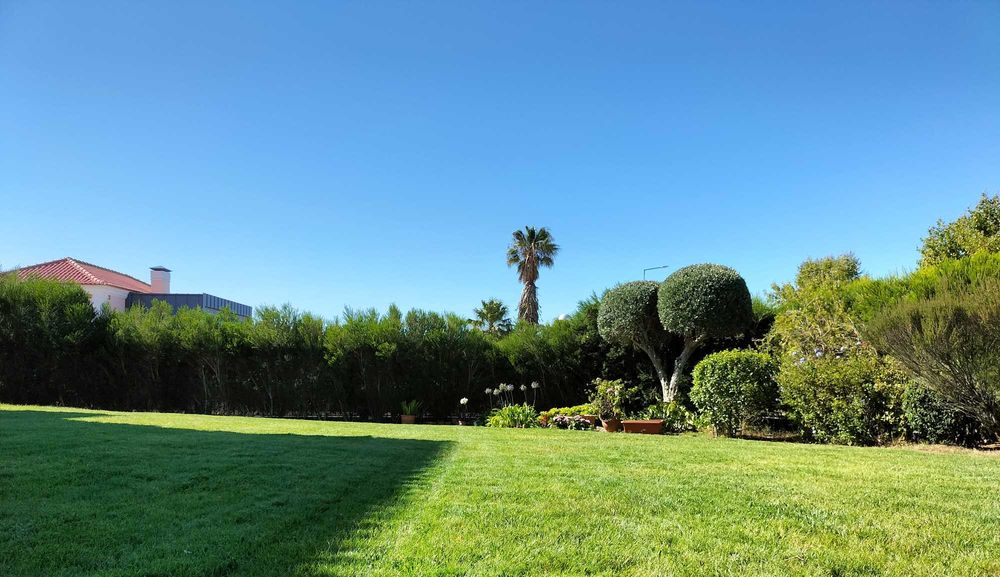 Serviços de jardinagem