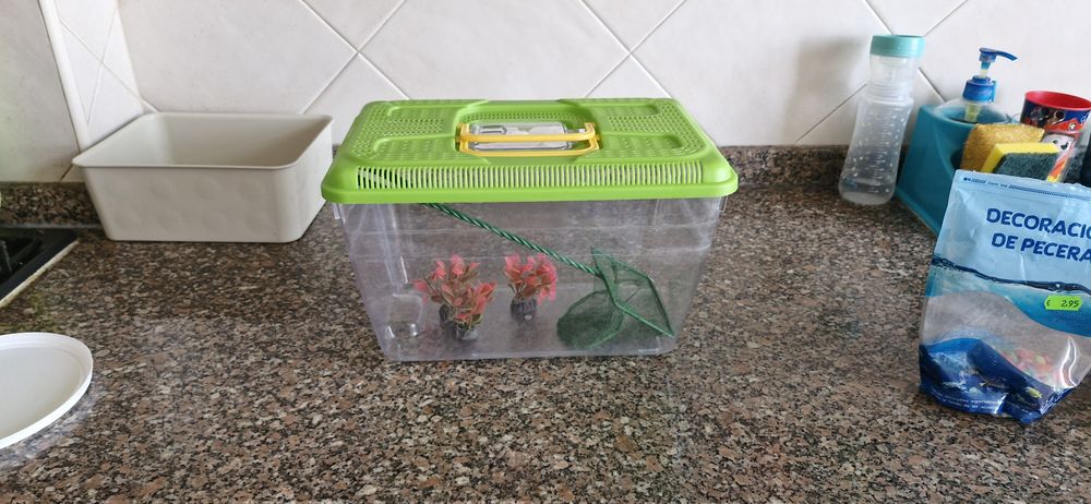 Aquário com acessorios