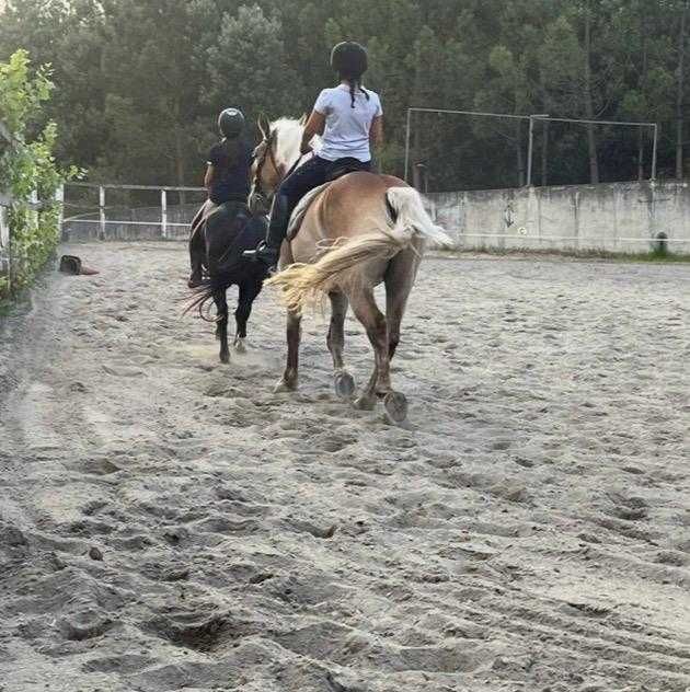 Égua palomina 4 anos
