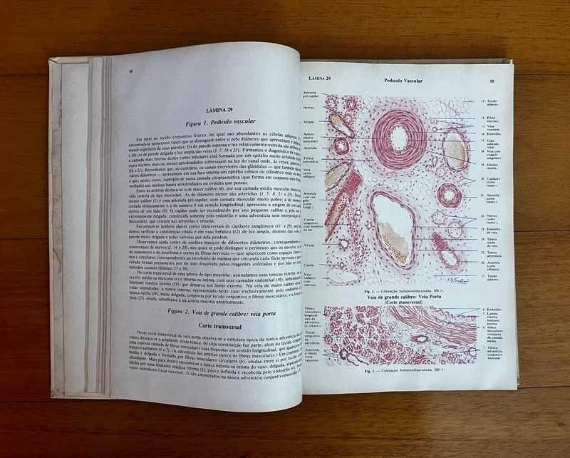 Atlas De Histologia 7ª edição