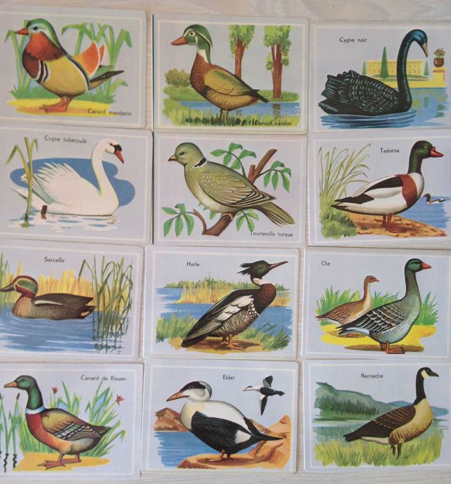 Calendários de bolso (animais)