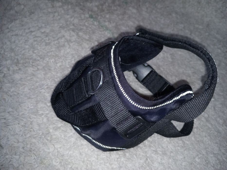 Шлея, шлей для собак