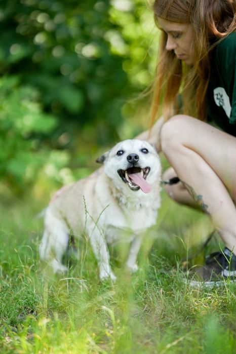 Kajtek - pies o złotym sercu szuka kochającego domu!