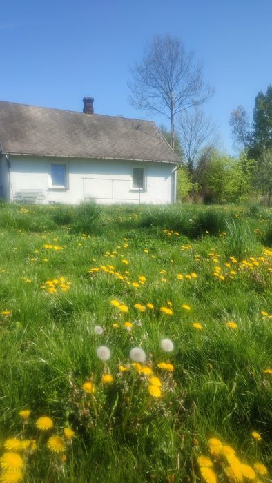 Dom i działka Osiny