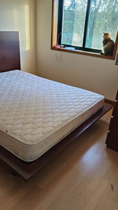 Cama de casal (usado)