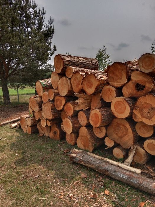 Drewno opałowe kominkowe sprzedaż