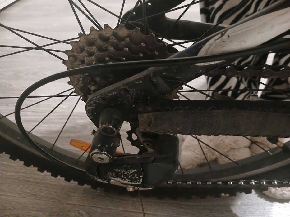 Scott scale junior 24 11 (218025.193)