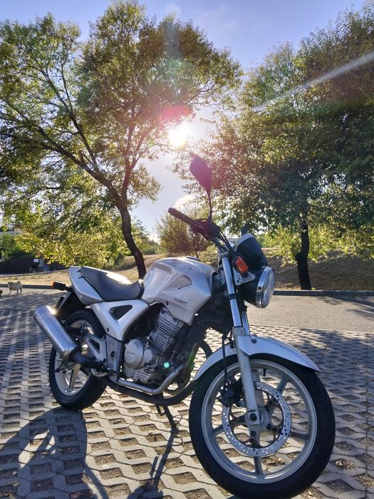 Honda cbf250 2004