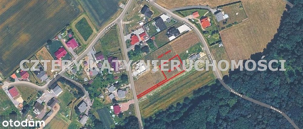 Sąsiedztwo lasu! - Widok 6