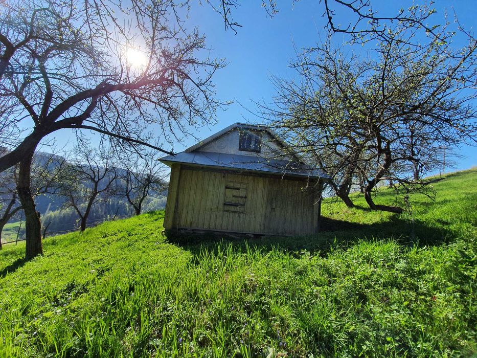 Продам землю в Яворові: 3 га та 25 соток