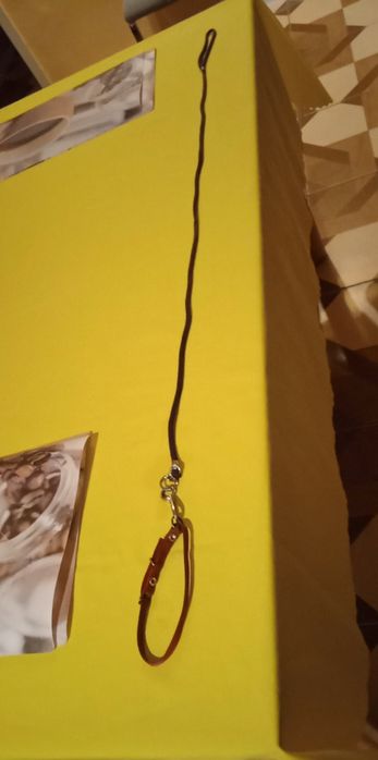 Obroża +smycz dla yojka itp