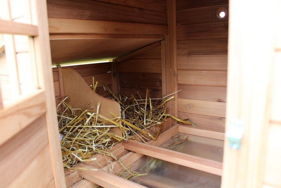 Курятник,миникурятник на 5-8  кур.