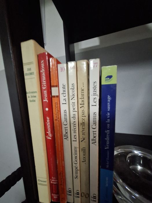Livros- literatura francesa
