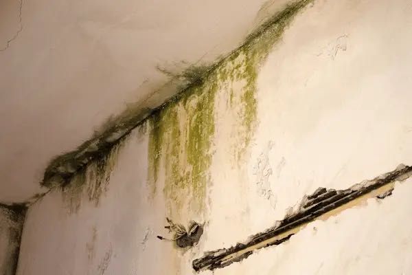 Canalizador detecta Fuga de água / infiltração / vazamento canalização