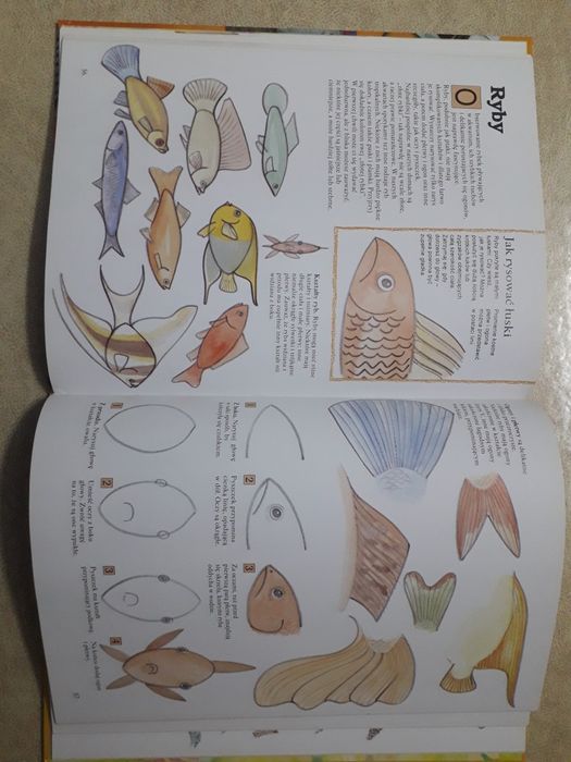 Książka edukacyjna