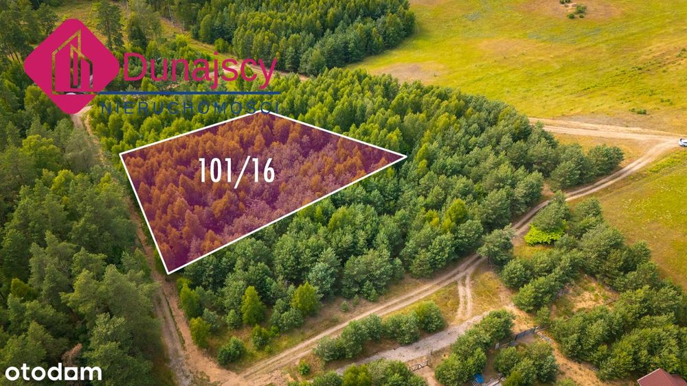 Działki Budowlane W Lesie - Szybki Zdjazd Z S7 - Enklawa Na Koloni!