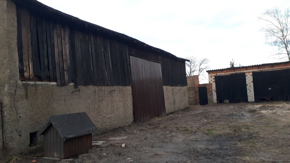 Sprzedam gospodarswo