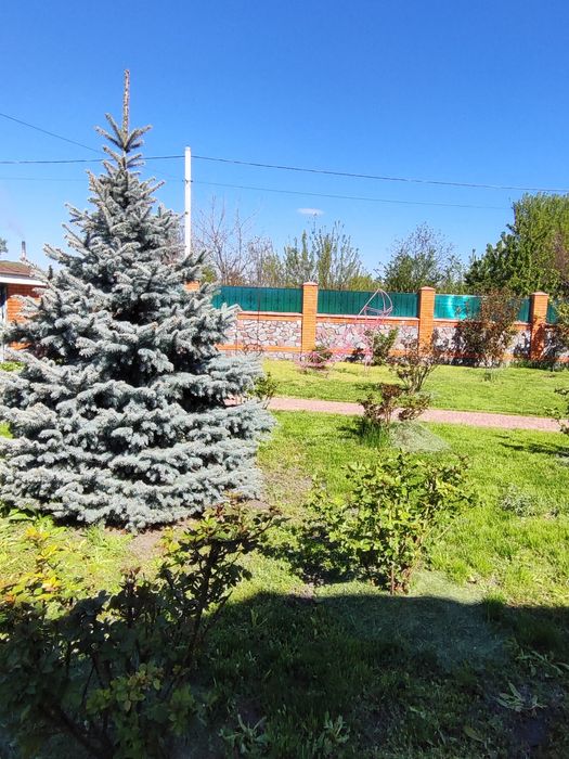 Продається будинок с Трипілля