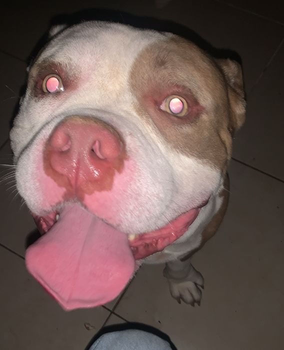 Preciso de uma namorada
