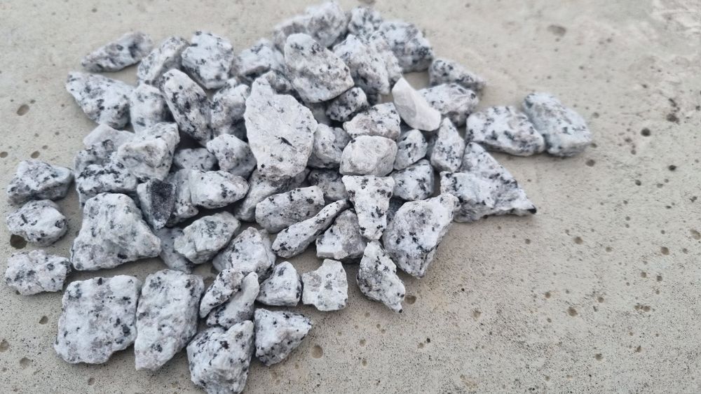 Grys granitowy dalmatyńczyk