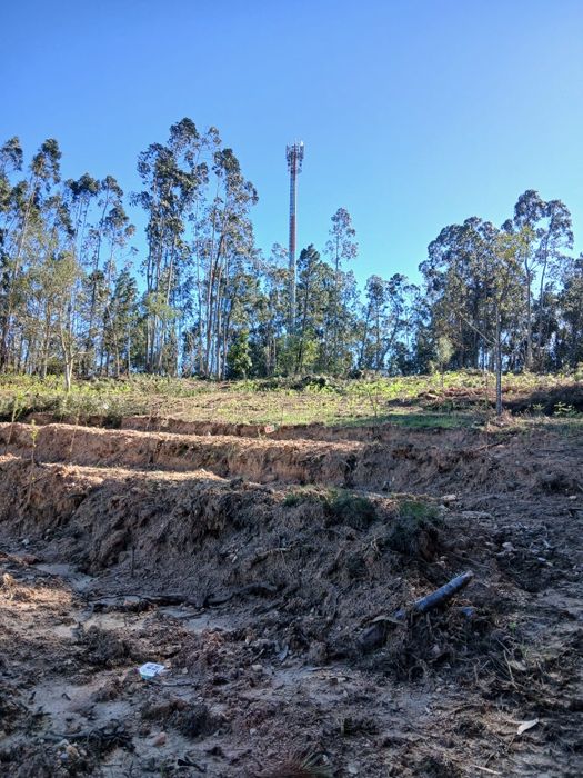 Terreno em tábua