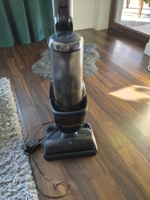 Odkurzacz pionowy Elektrolux Pure F9