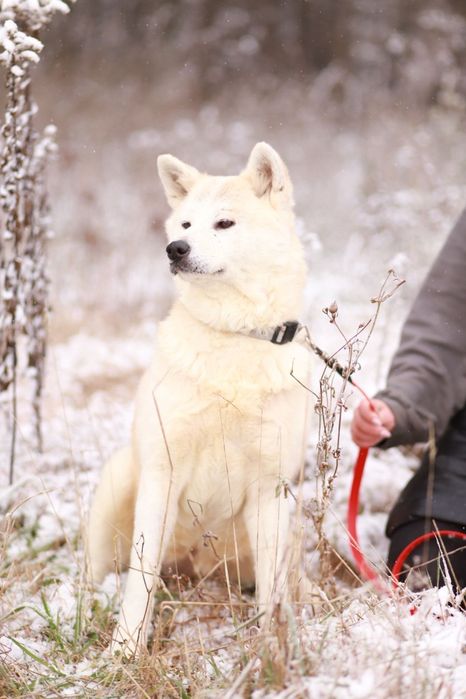 Szukasz przyjaciółki na lata? Już znalazłeś  ;-)