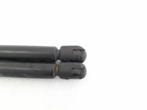 Amortecedor da mala RENAULT Clio II (BB0/1/2_, CB0/1/2_)