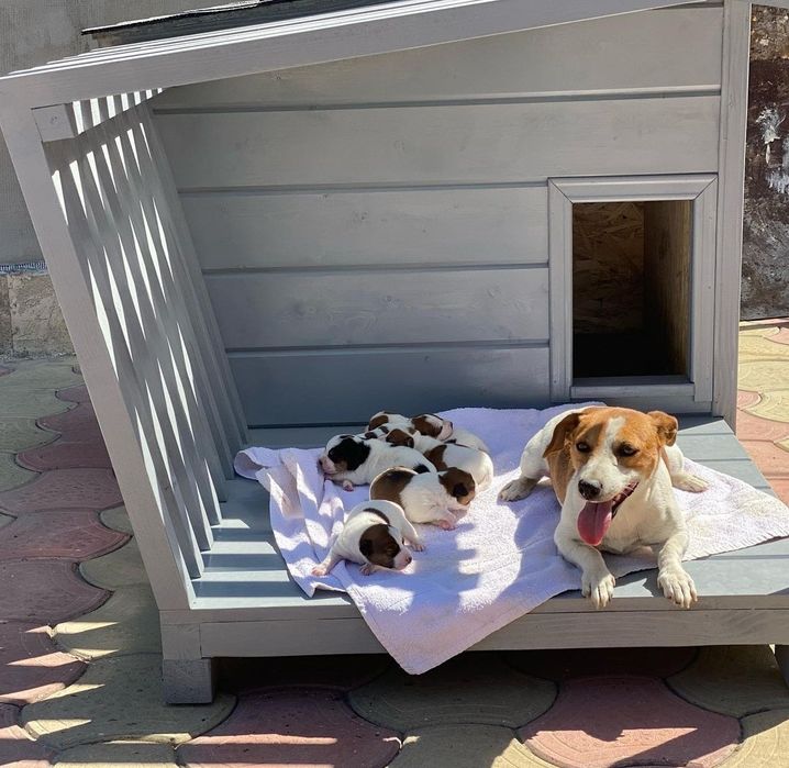 Будиночки з терасою